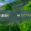 LEED v5 Is Here: What It Means for Sustainable Building & How Tatham Can Help